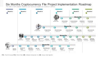 Six Months Cryptocurrency File Project Implementation Roadmap Topics PDF