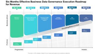 Six Months Effective Business Data Governance Execution Roadmap For Revenue Structure