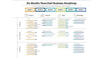 Six Months Flowchart Business Roadmap Template