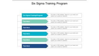 Six Sigma Training Program Ppt PowerPoint Presentation Professional Background Images Cpb