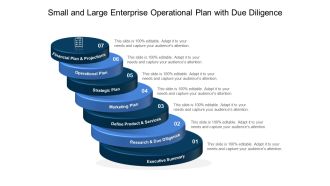 Small And Large Enterprise Operational Plan With Due Diligence Ppt PowerPoint Presentation Gallery Design Ideas PDF