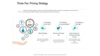 Smart Software Pricing Strategies Three Tier Pricing Strategy Ppt Model Inspiration PDF
