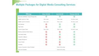 Social Media Consulting Multiple Packages For Digital Media Consulting Services Introduction PDF