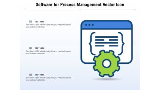 Software For Process Management Vector Icon Ppt PowerPoint Presentation Styles Layout PDF