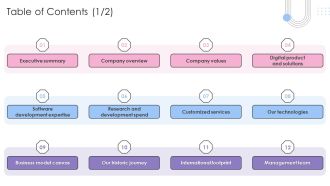 Software Products And Solutions Firm Details Table Of Contents Graphics PDF