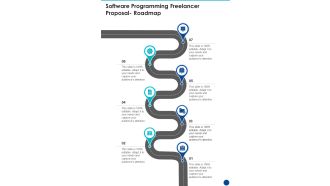 Software Programming Freelancer Proposal Roadmap One Pager Sample Example Document
