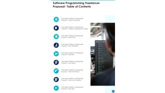 Software Programming Freelancer Proposal Table Of Contents One Pager Sample Example Document