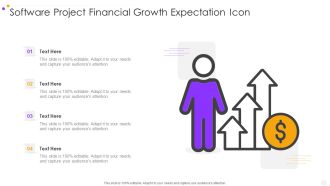 Software Project Financial Growth Expectation Icon Professional PDF