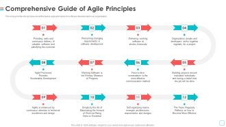 Software Publication Comprehensive Guide Of Agile Principles Themes PDF