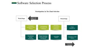Software Selection Process Ppt PowerPoint Presentation Styles Format