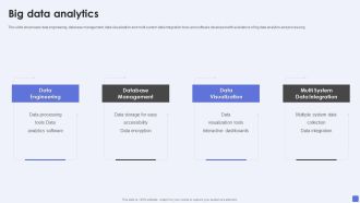Software Services Business Profile Big Data Analytics Ppt PowerPoint Presentation Icon Inspiration PDF