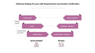 Software Testing Process With Requirement And System Verification Ppt PowerPoint Presentation Icon Slides PDF