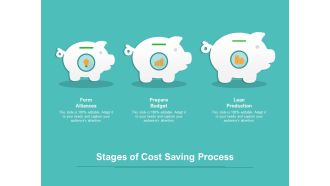 Stages Of Cost Saving Process Ppt PowerPoint Presentation File Layout Ideas PDF