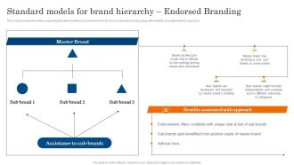 Standard Models For Brand Hierarchy Endorsed Branding Ppt PowerPoint Presentation File Example PDF