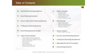 Steps For Successful Brand Building Process Table Of Contents Template PDF