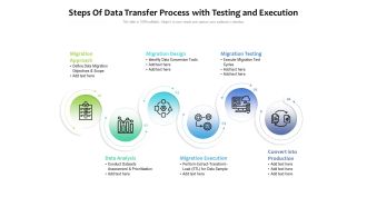 Steps Of Data Transfer Process With Testing And Execution Ppt PowerPoint Presentation File Ideas PDF