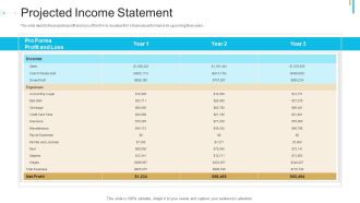 Stock Offering As An Exit Alternative Projected Income Statement Pictures PDF