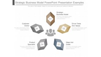 Strategic Business Model Powerpoint Presentation Examples