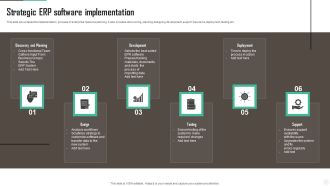 Strategic ERP Software Implementation Portrait PDF