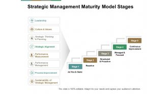 Strategic Management Maturity Model Stages Ppt PowerPoint Presentation Portfolio Example File