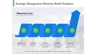 Strategic Management Maturity Model Template Ppt PowerPoint Presentation Portfolio Templates