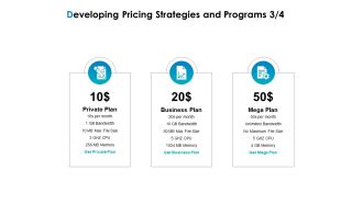 Strategic Marketing Plan Developing Pricing Strategies And Programs Private Ppt Gallery Graphics Example PDF