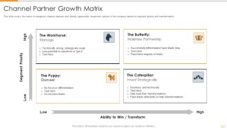 Strategic Partnership Management Plan Channel Partner Growth Matrix Icons PDF