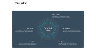Strategic Plan For Companys Development Circular Ppt PowerPoint Presentation Ideas Show