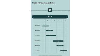 Strategic Project Plan Administration Project Management Gantt Chart One Pager Sample Example Document