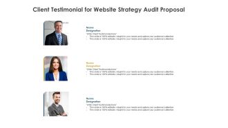 Strategic SEO Audit Client Testimonial For Website Strategy Audit Proposal Guidelines PDF