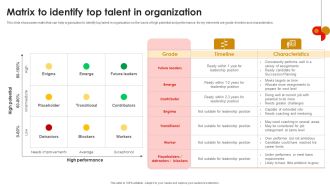 Strategic Talent Development Matrix To Identify Top Talent In Organization Structure PDF