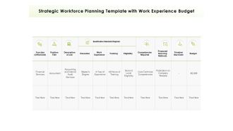 Strategic Workforce Planning Template With Work Experience Budget Ppt PowerPoint Presentation Visual Aids Pictures