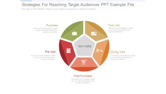 Strategies For Reaching Target Audiences Ppt Example File