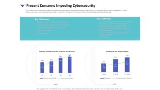 Strategies To Mitigate Cyber Security Risks Present Concerns Impeding Cybersecurity Ppt Show Objects PDF
