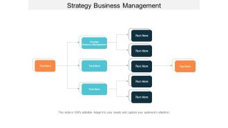 Strategy Business Management Ppt Powerpoint Presentation Infographic Template Clipart Images Cpb
