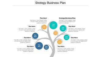 Strategy Business Plan Ppt PowerPoint Presentation Inspiration Guide Cpb