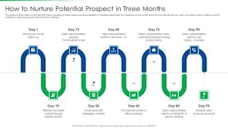Strawman Project Action Plan How To Nurture Potential Prospect In Three Months Sample PDF