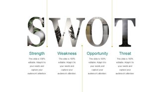 Strength Ppt PowerPoint Presentation Ideas