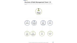 Structure Of Debt Management Team One Pager Sample Example Document