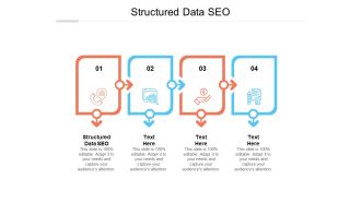 Structured Data SEO Ppt PowerPoint Presentation Model Shapes Cpb
