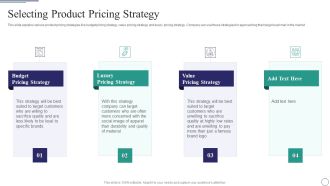 Successful Brand Development Plan Selecting Product Pricing Strategy Professional PDF