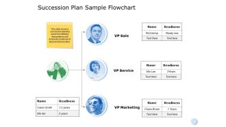 Succession Plan Sample Flowchart Ppt Powerpoint Presentation Layouts Portfolio