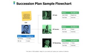 Succession Plan Sample Flowchart Ppt Powerpoint Presentation Portfolio Topics