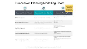 Succession Planning Modelling Chart Ppt PowerPoint Presentation Professional Gridlines
