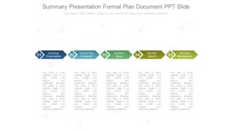 Summary Presentation Formal Plan Document Ppt Slide