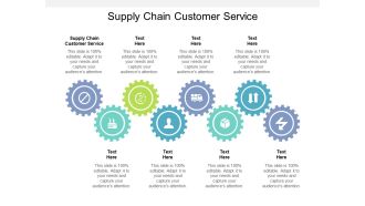 Supply Chain Customer Service Ppt PowerPoint Presentation Professional Slide Download Cpb