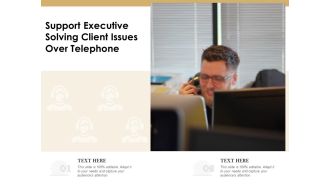 Support Executive Solving Client Issues Over Telephone Ppt PowerPoint Presentation Styles Background PDF