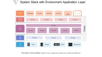 System Stack With Environment Application Layer Ppt PowerPoint Presentation Icon Microsoft PDF