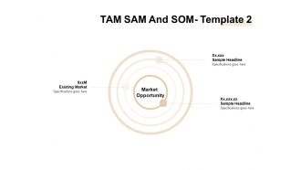 TAM SAM And SOM Opportunity Ppt Summary Example PDF