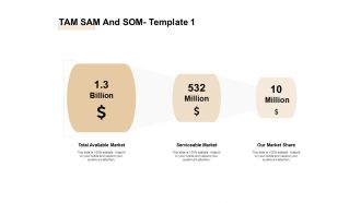 TAM SAM And SOM Ppt Outline Brochure PDF